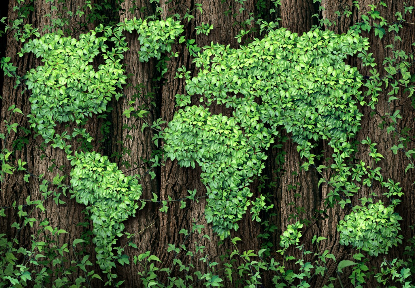Maps for the Planet: An Introduction to Environmental Cartography ...